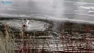 А кто будет спасать "спасателей"?