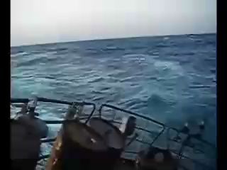 Морские волки