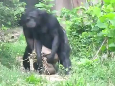 Синхронная ходьба!