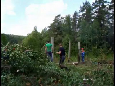 Случай в лесу