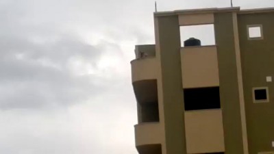 Прыжок собаки с крыши дома