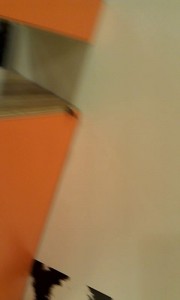 Таракан в МакДональдз)))