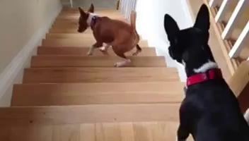 Включаем задний привод