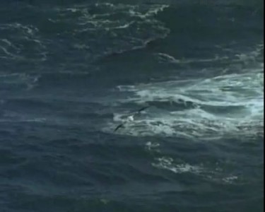 Океан Божьей любви...