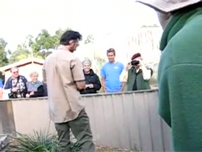 Сумчатый дьявол