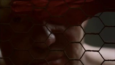 Собаки ушли от людей