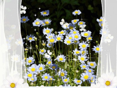 Доброе утро!