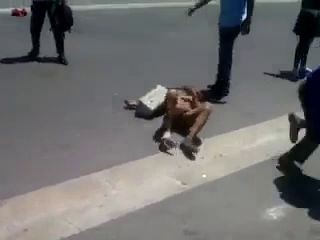 Жесть! Дикари, а не люди