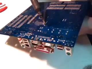 пайуа кондёров