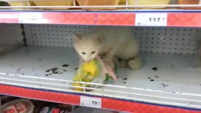 В супермаркете "Дикси" - Автор Руслан Виноградов