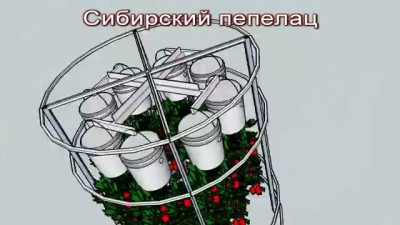 Сибирский Пепелац - теплица для ленивых огородников будущего!