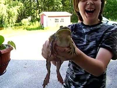 Орущая жаба