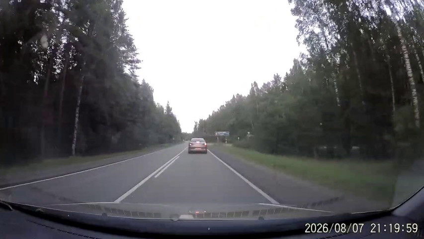 Отключилась за рулём.