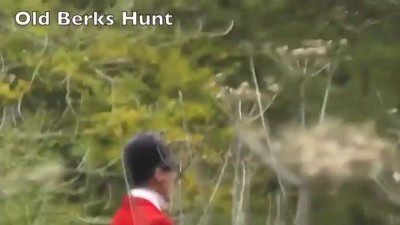 Спасла лисичку