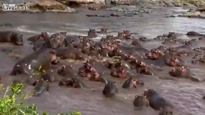 Бедный Гена