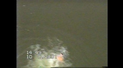 прыжки с моста