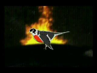 Воробей Наркоша...