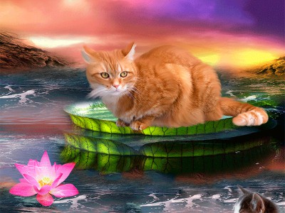 желаю счастья вам друзья