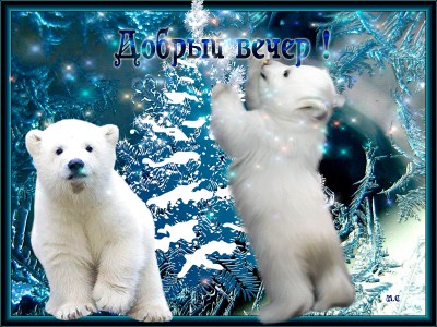 Доброго вечера !