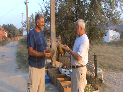 ГРИВУНЫ НА КАВУНЫ