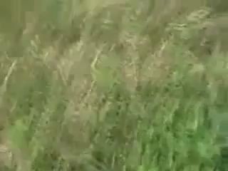  Bike Accident