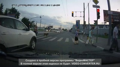 Светофор троллит водителей