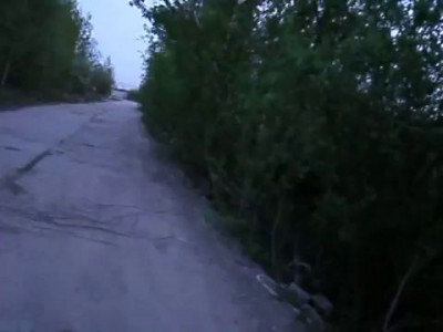 голос соловя