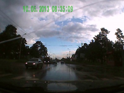 Собака - ПДД соблюдака