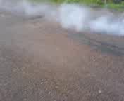 Рашн Мустанг