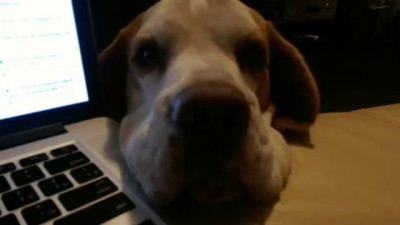 Поговори со мной