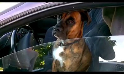 Водитель не в адеквате