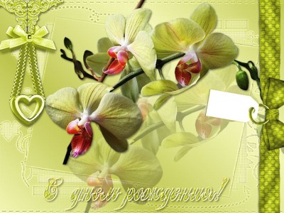 С днем рождения