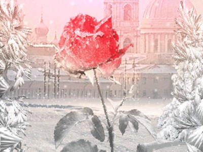 Цветы под снегом. Л.Долина и А.Панайотов