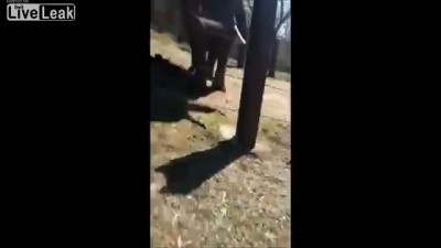 Мстительный слон