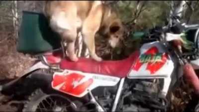 Я готова. можно ехать