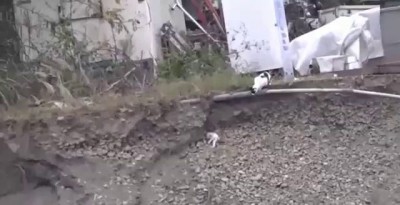 Спасение котенка