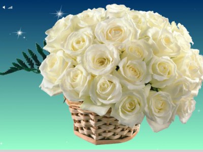 Букет из белых роз