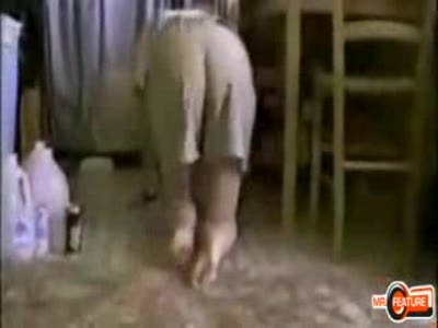 кот выгуливает хозяйку