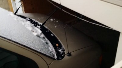 Котенька в ДТП