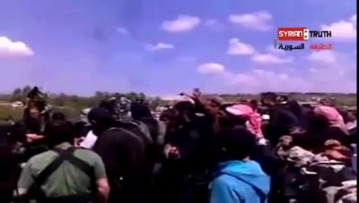 В мире животных