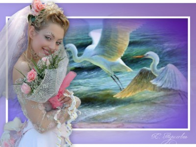 Белая лебедь