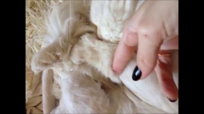 Спит как убитый