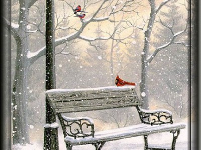 В зимнем парке.