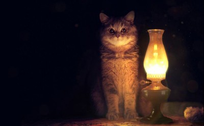 -Настало время......