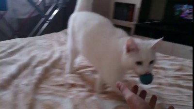 Играем в мячик