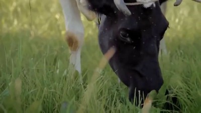 Поездой накрылась