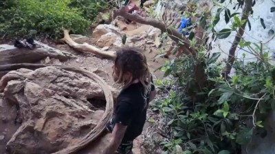 Полет дибила.