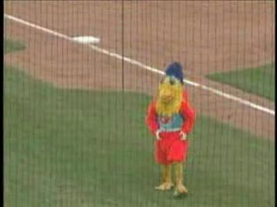 The Famous Chicken Dance Off