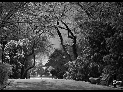 Рустэм Султанoв и группа "РУСТ" -Зимняя ночь