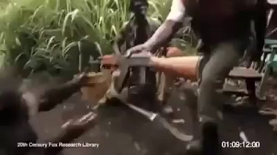 Обезьяна с автоматом